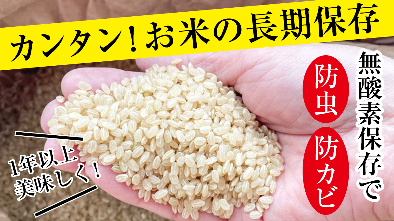 米の長期保存方法